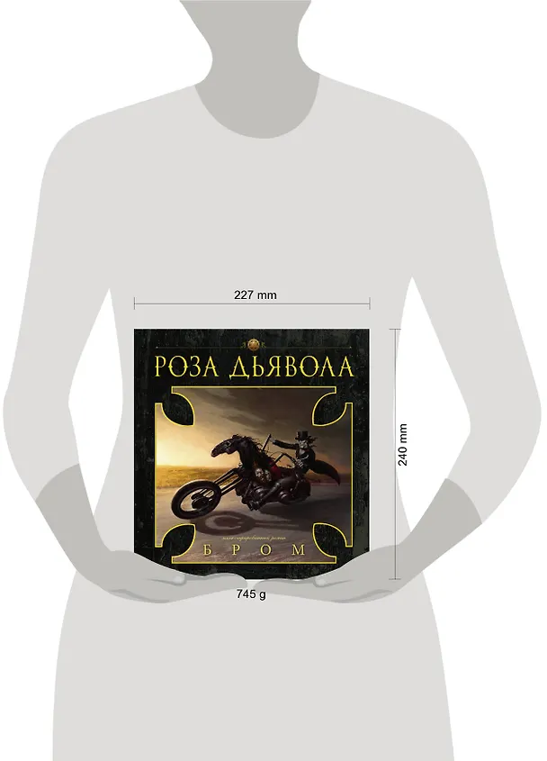 Книга Роза Дьявола (Джеральд Бром) — 10