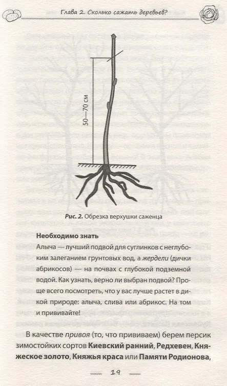 Книга Как обустроить сад и зарабатывать на нем (Василий Тыбель) — 5