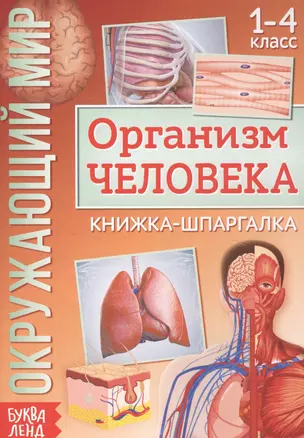 Окружающий мир. Организм человека. Книжка-шпаргалка для 1-4 класса — 7821408 — 1