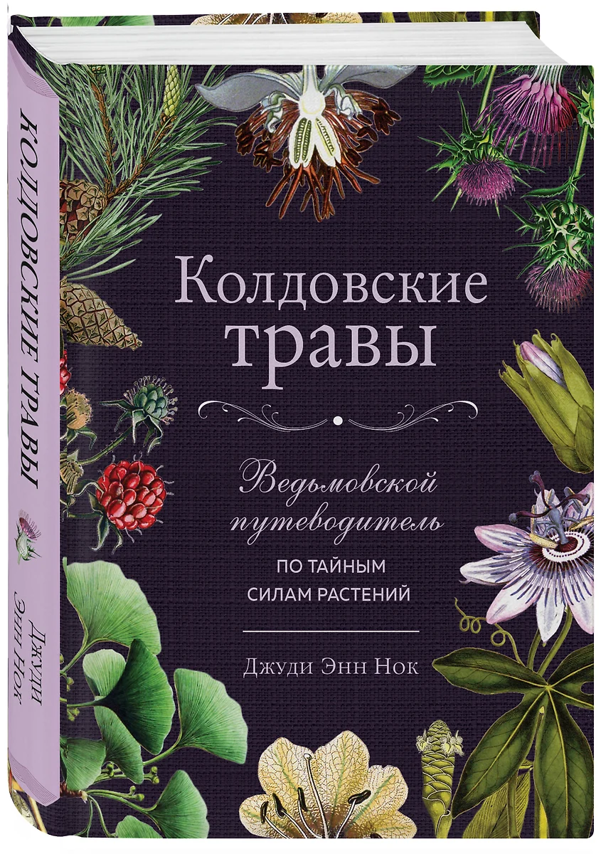 Колдовские травы. Ведьмовской путеводитель по тайным силам растений (Джуди  Энн Нок) - купить книгу с доставкой в интернет-магазине «Читай-город».  ISBN: 978-5-04-159094-9