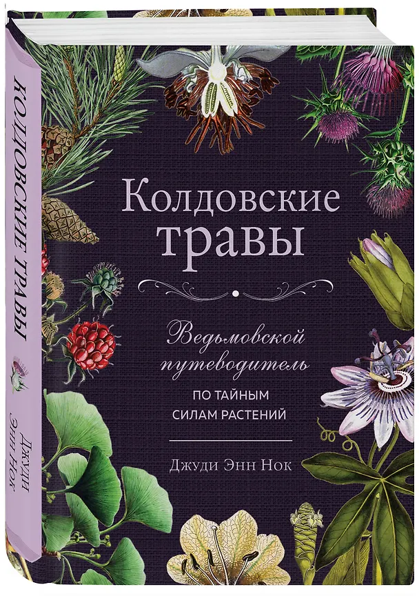 Книга Колдовские травы. Ведьмовской путеводитель по тайным силам растений (Джуди Энн Нок) — 4