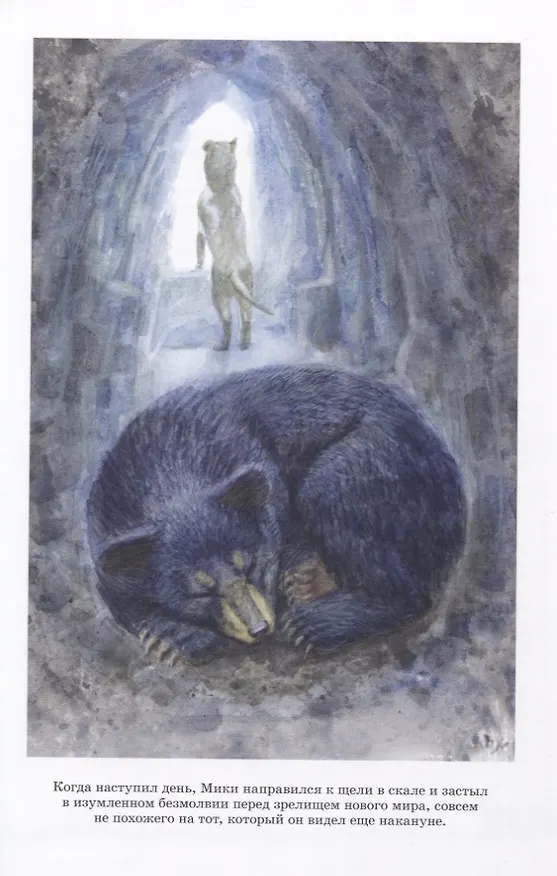 Книга Бродяги Севера. Повесть (Джеймс Оливер Кервуд) — 5