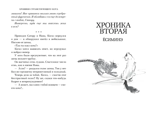Книга Хроники странствующего кота (Хиро Арикава) — 14