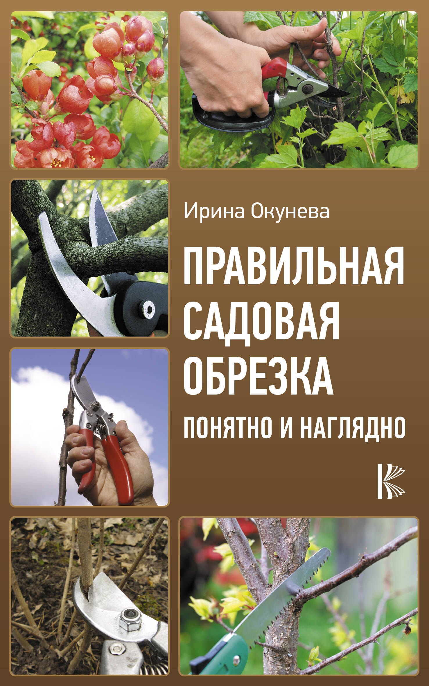 

Правильная садовая обрезка. Понятно и наглядно