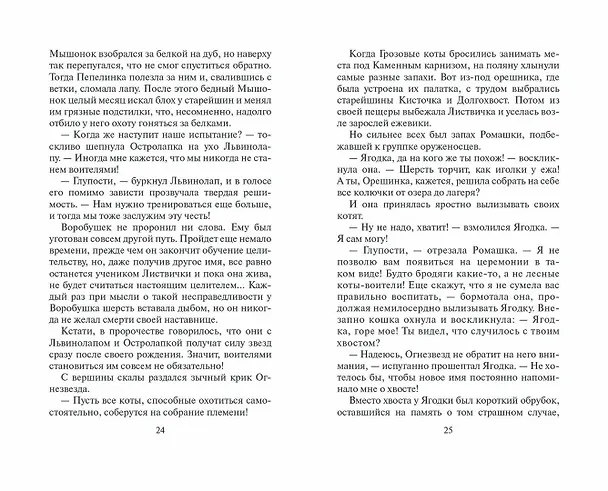 Книга Отверженные (Эрин Хантер) — 12