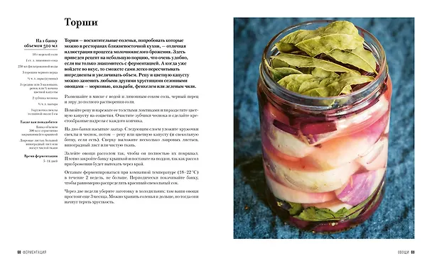Книга Ферментация. Вкусные и полезные рецепты на каждый день (Рейчел Тампл де) — 6