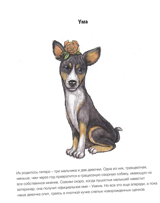Книга Сказки для собачников и не только (Ольга Акопян) — 5