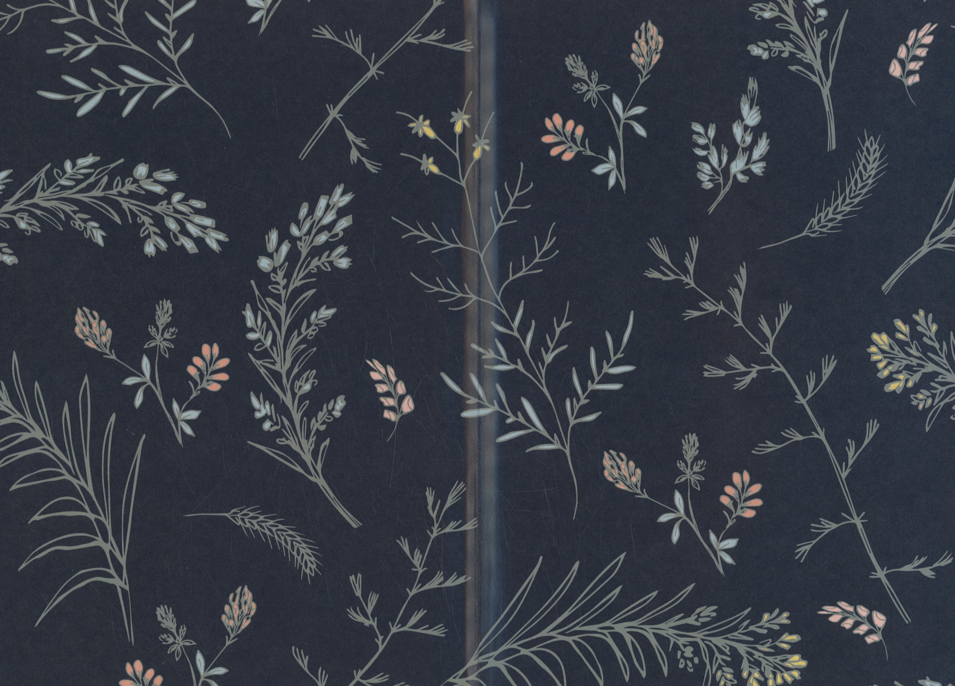 Изображение бумажной книги