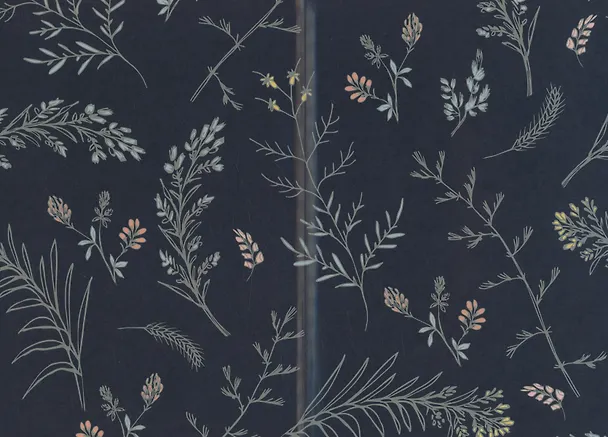 Книга По ту сторону Нави (Ева Бран) — 3