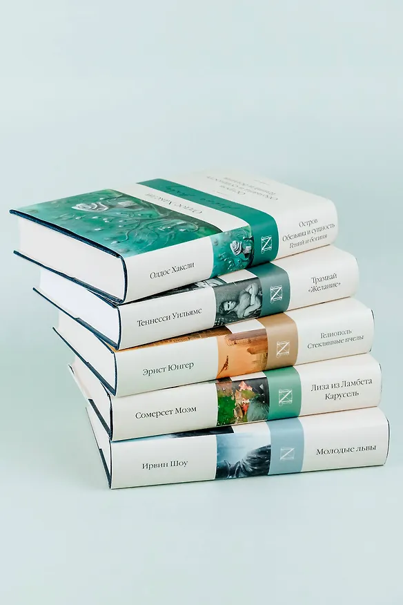 Книга Лиза из Ламбета. Карусель (Сомерсет Моэм) — 14