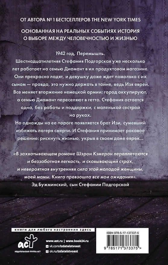 Книга Свет в тайнике (Шэрон Кэмерон) — 2