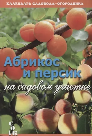 Книга Абрикос и персик на садовом участке (мКалендСадОгор) Бурова (Валентина Бурова)