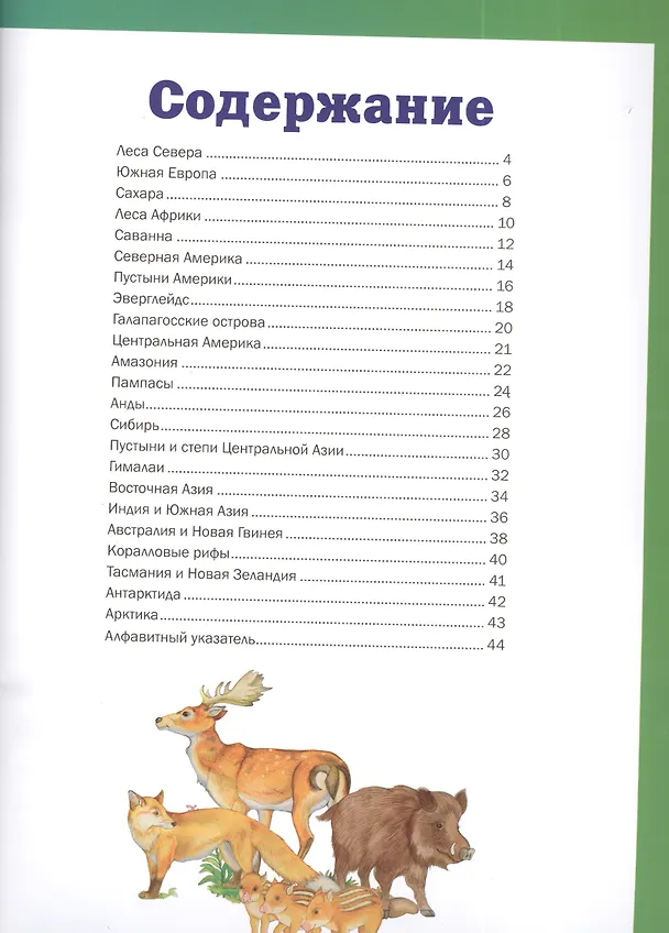 Книга Атлас животных планеты Земля (Анита Анселми) — 2