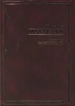Легион Фалькенберга. Принц наемников. Космический корабль короля Давида 2123301