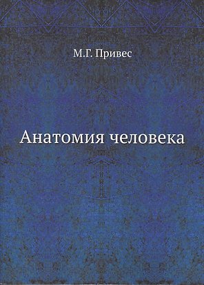 Анатомия человека