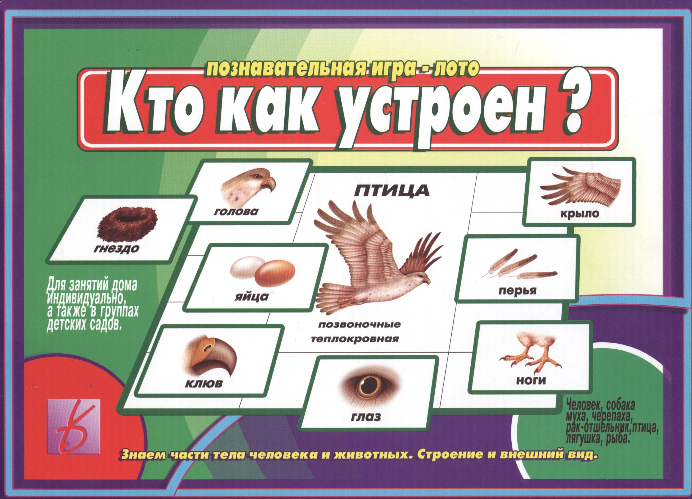 

Кто как устроен. Познавательная игра-лото