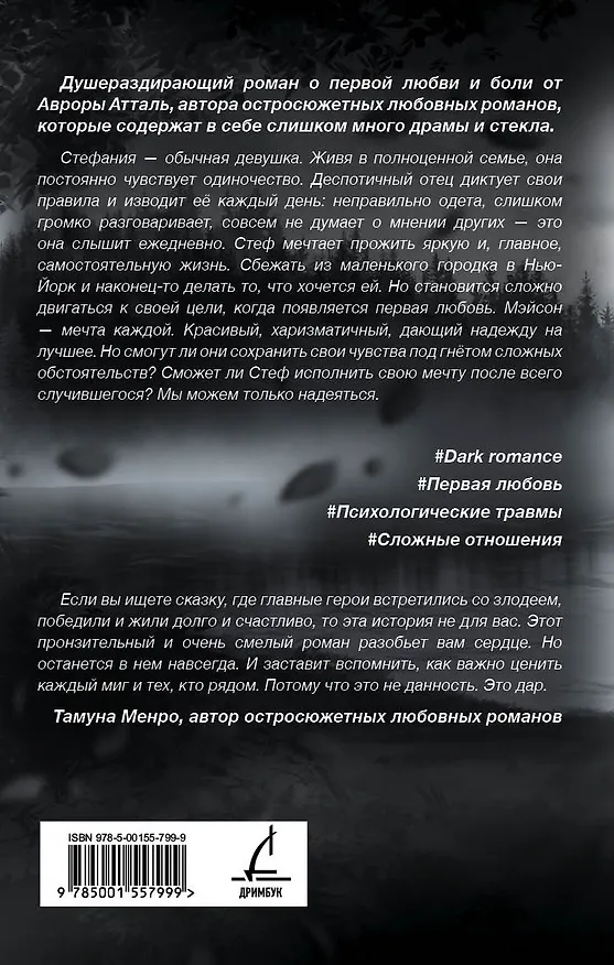Книга Мы сможем? (Аврора Атталь) — 4