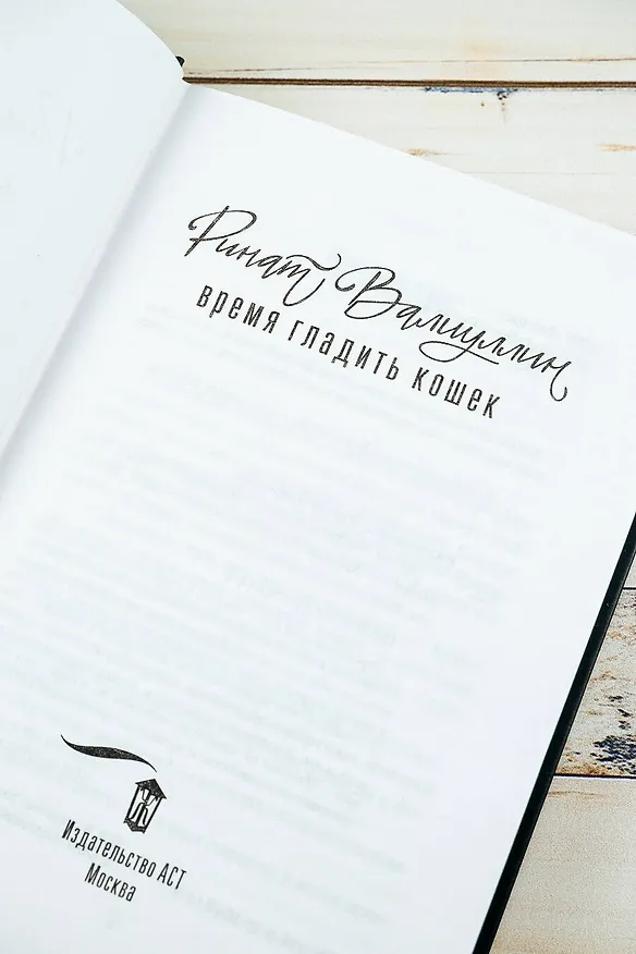 Книга Время гладить кошек (Ринат Валиуллин) — 8