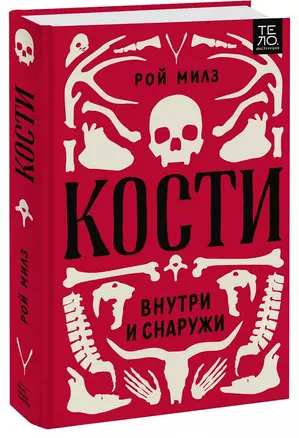 Кости: внутри и снаружи — 2855306 — 1