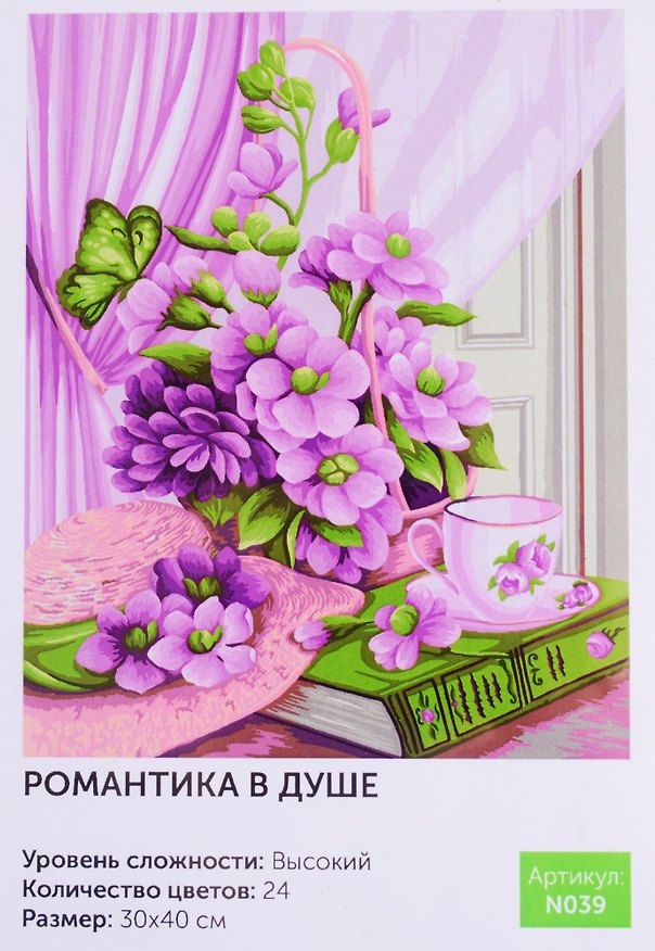 Картина по номерам Романтика в душе (N039) (30х40 см) (24цв.) (коробка) (Art idea) 2793397 — 1