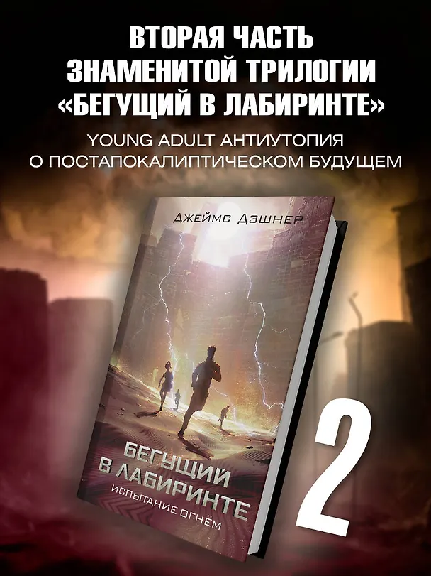 Книга Испытание огнем (Джеймс Дэшнер) — 4