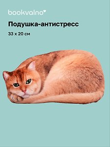Подушка декоративная антистресс Котик рыжий (33х20) (bv-17)