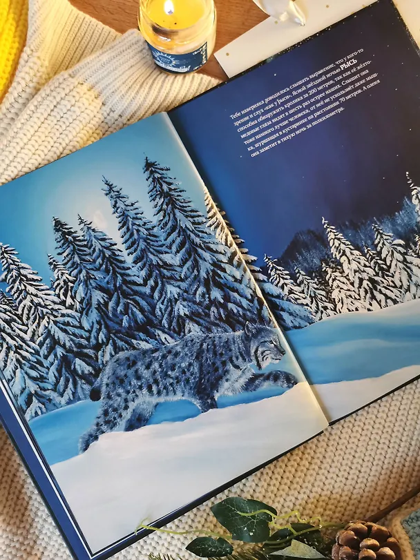 Книга Все ли спят ночью? Завораживающие иллюстрации и удивительные факты ночного мира живой природы (Беатрикс Маннель) — 11