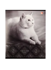 Тетрадь в клетку Unnika, "Роскошные коты", 48 листов, в ассортименте