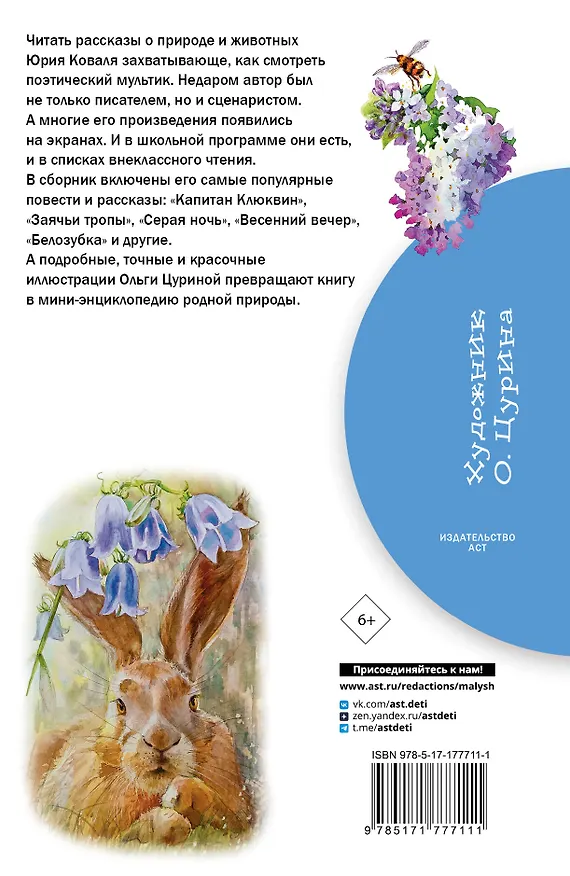 Книга Жеребенок (Юрий Коваль) — 2