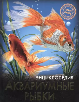 Аквариумные рыбки — 2491259 — 1