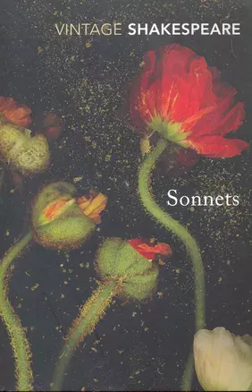 Sonnets — 2261783 — 1