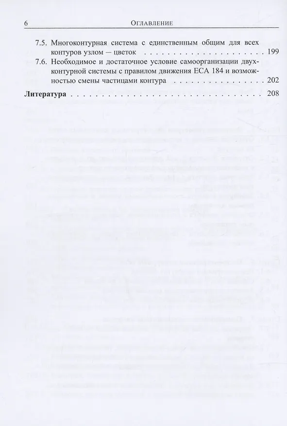 Книга Сети Буслаева: динамические системы потоков частиц на регулярных сетях с конфликтными точками (Марина Яшина, Александр Таташев) — 4
