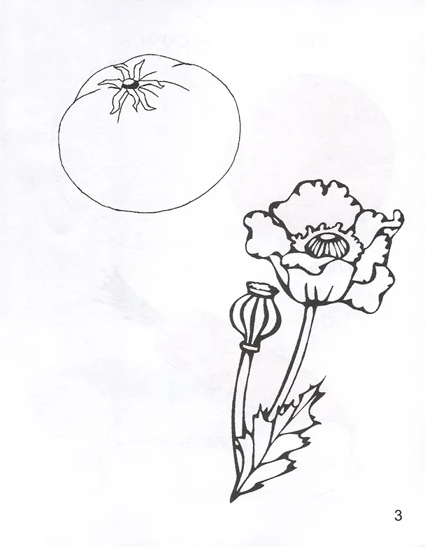 Книга Какие цвета я знаю () — 4