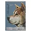 Скетчбук «Кот и собака», 60 листов, А5 — 252324 — 3