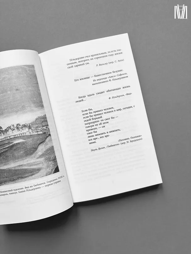 Книга Безумие Гёльдерлина. Жизнь, поделенная надвое (Джорджо Агамбен) — 7