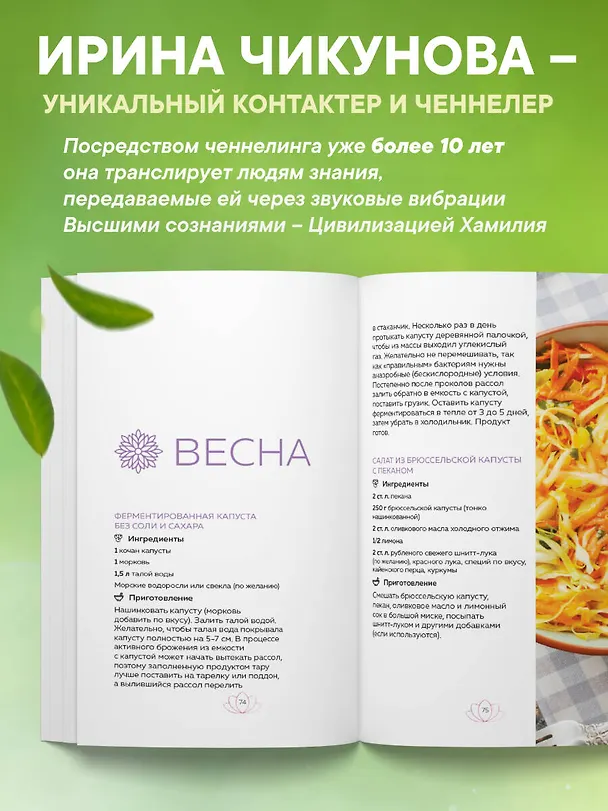 Книга Рецепты для ресурсной, качественной и здоровой жизни. Цивилизация Хамилия (Ирина Чикунова) — 6