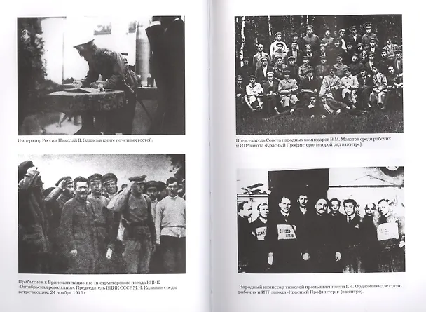 Книга Партизаны Брянского леса: какими они были. 1941-1943 годы (Валерий Кучер) — 3