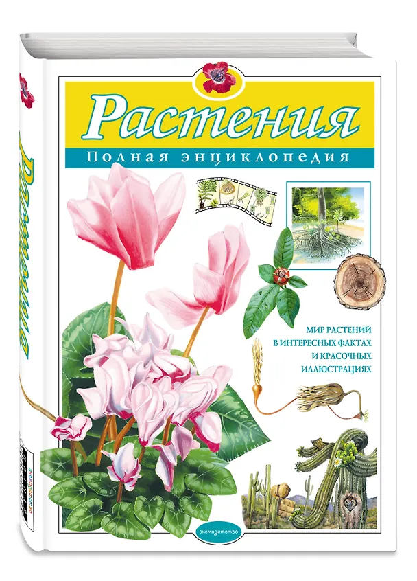 Книга Растения. Полная энциклопедия: Мир растений в интересных фактах и красочных иллюстрациях (Юлия Школьник) — 5