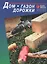 Дом. Газон. Дорожки. Иллюстрированное практическое пособие — 64693 — 1