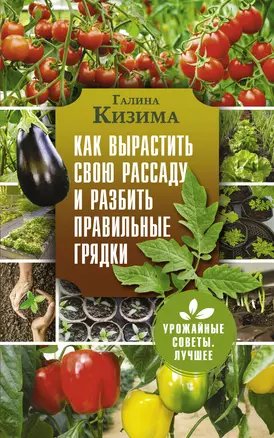 Как вырастить свою рассаду и разбить правильные грядки — 7904429 — 1