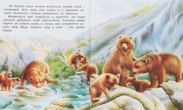 Книга В лесу (мПозЧт) Гурина (Ирина Гурина) — 3