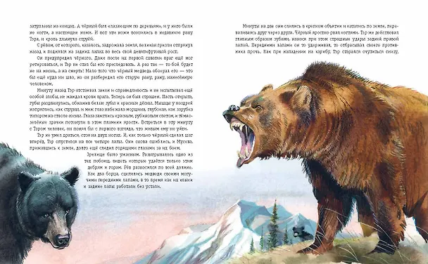Книга Гризли (ил. В. Канивца) (Джеймс Оливер Кервуд) — 8