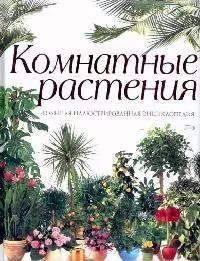 Комнатные растения.Бол.илл.энц(NEW) — 1805142 — 1