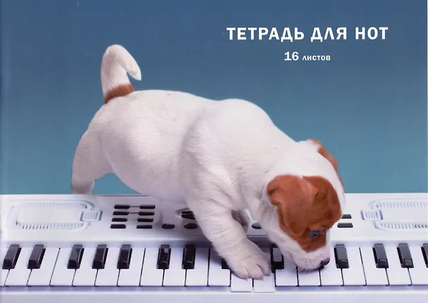 Тетрадь для нот «Пианист» 16 листов, А4, скрепка - Listoff 2984890 — 1