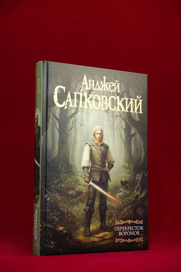 Книга Перекресток Воронов  (Анджей Сапковский) — 10
