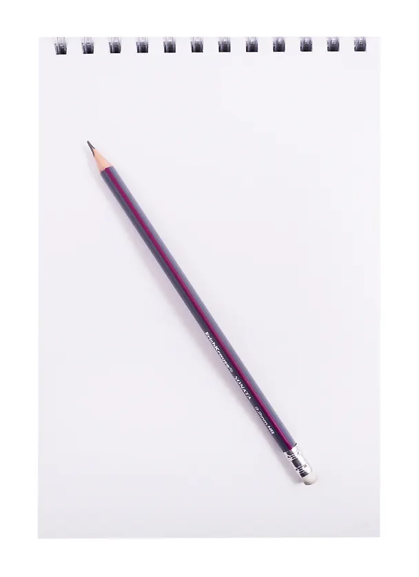 Скетчбук А5+ 80л "SKETCHBOOK. Дикий кот" белый офсет, 120г/м2, 7БЦ 257807 — 2