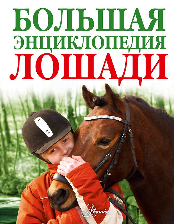 Книга Лошади. Большая энциклопедия(2-ое издание) (Перри Вуд) — 1
