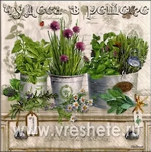 Наб. салф. для декупажа Гербарий (НСД2026) (2шт) (упаковка)