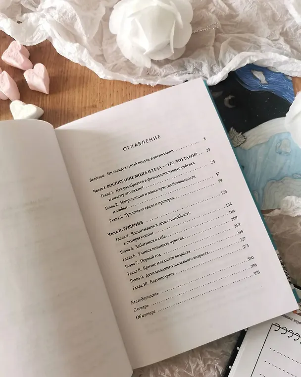 Книга Чего хочет мой ребенок. Нейропсихология о том, как понять потребности своих детей и построить гармоничные отношения (Мона Делахук) — 9