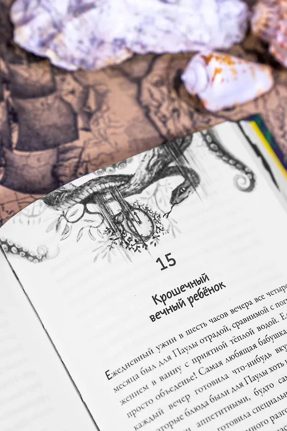 Книга Баддабамба и Остров времени. Книга 1 (Маркус Ортс) — 15